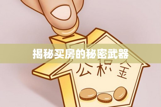 景县揭秘买房的秘密武器
