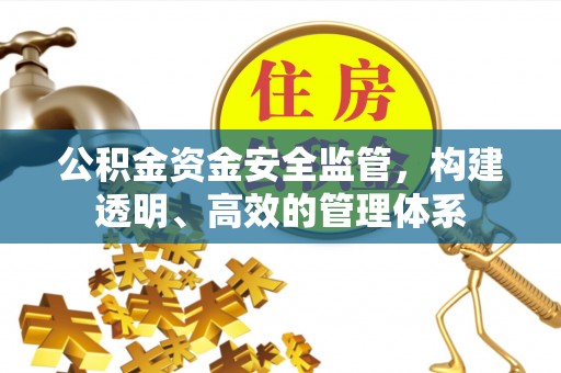 景县公积金资金安全监管，构建透明、高效的管理体系
