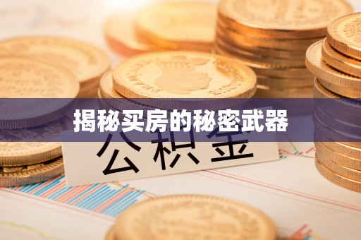 景县揭秘买房的秘密武器