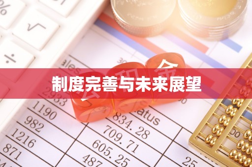 景县制度完善与未来展望