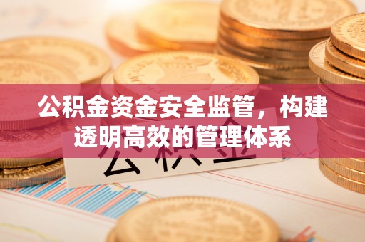 景县公积金资金安全监管，构建透明高效的管理体系