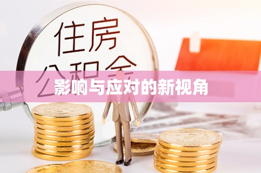 景县影响与应对的新视角