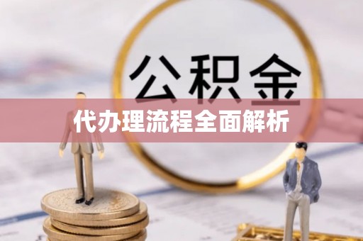 景县代办理流程全面解析
